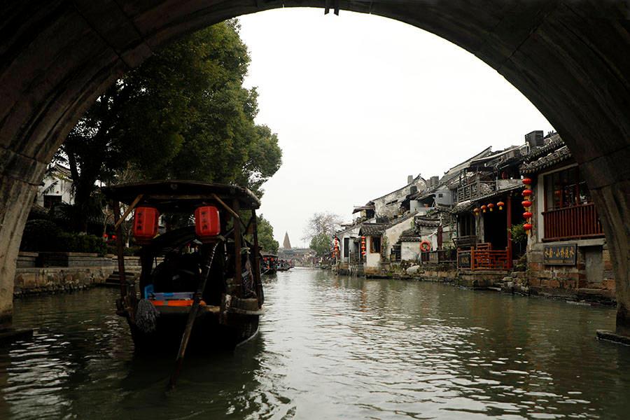 天津七里海湿地再发现一头白色麋鹿，基因有望稳定遗传
